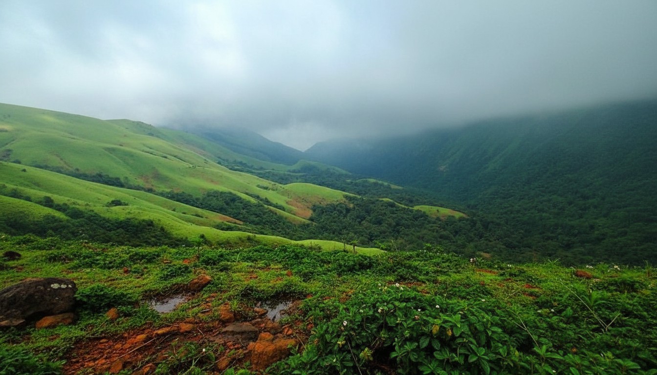 Chikmagalur Hill station