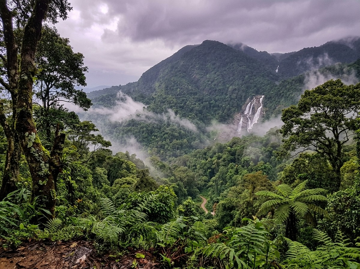 Agumbe