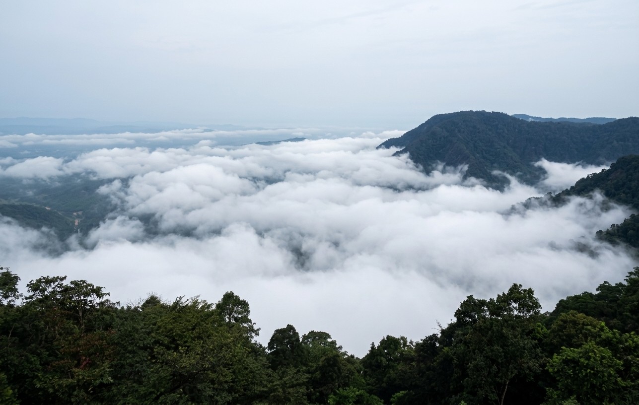 Agumbe