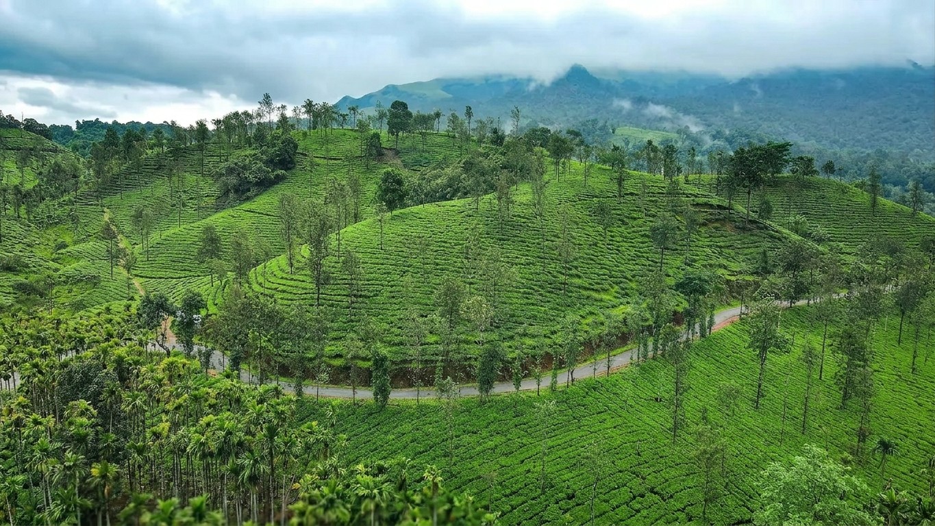 Wayanad Hill station