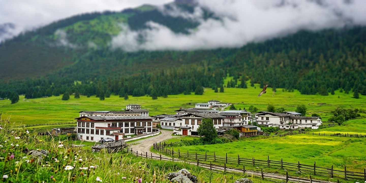 Ziro Valley