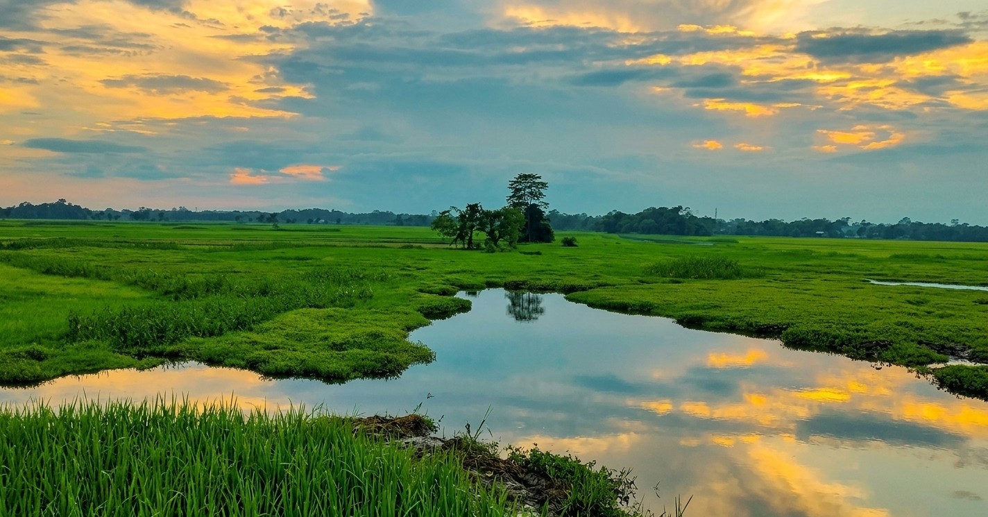 Majuli