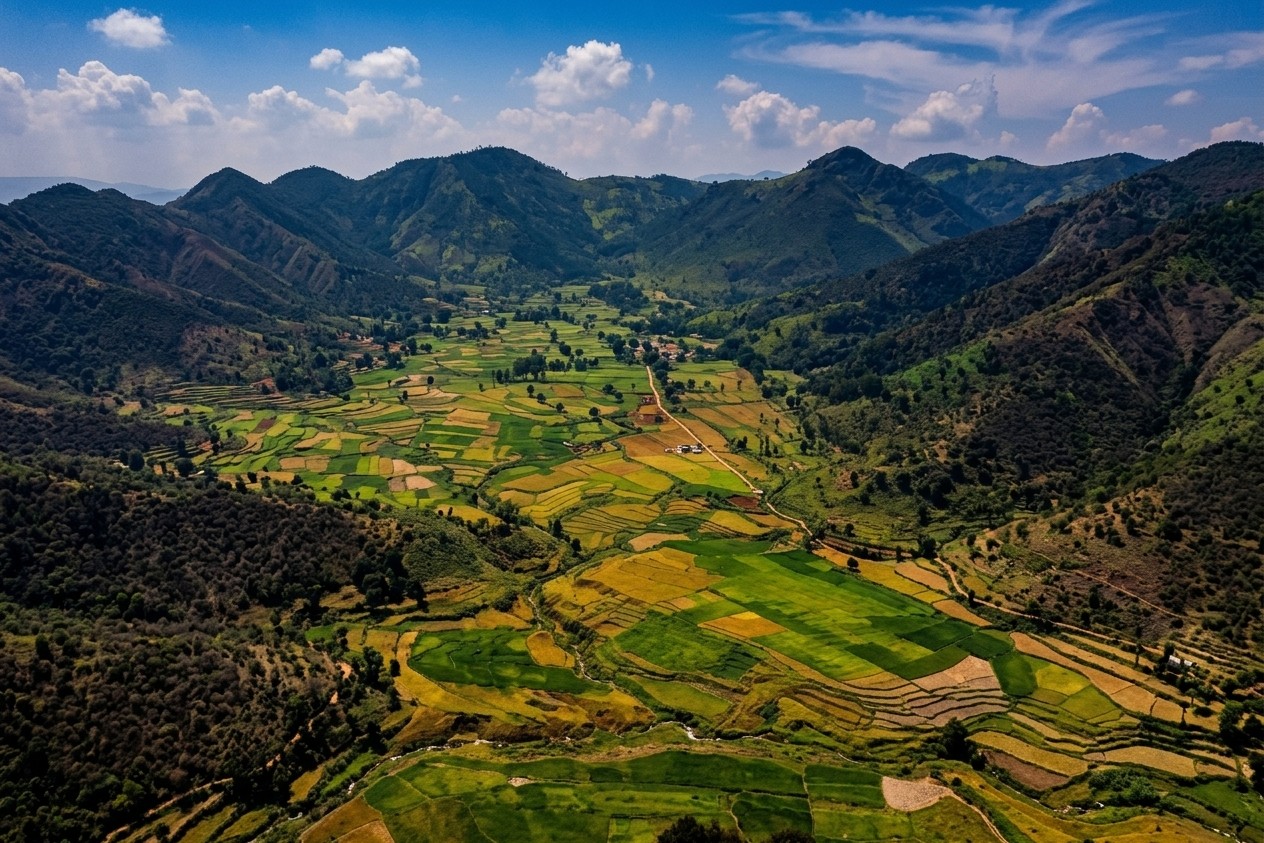 Araku Valley
