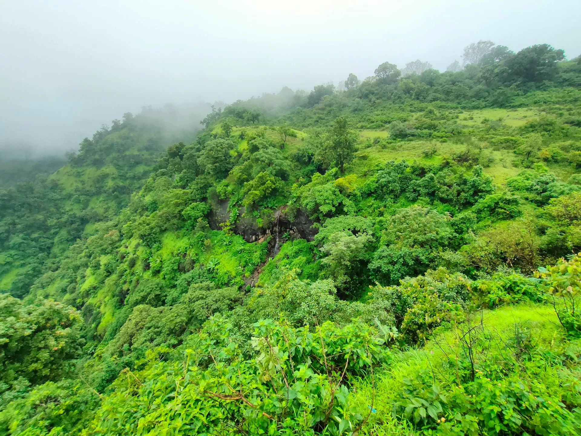 Chikhaldara