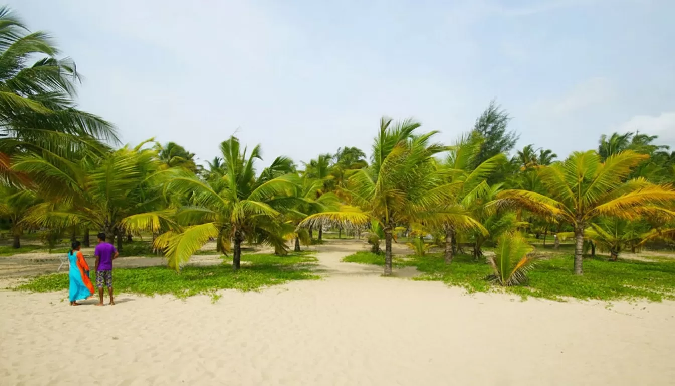 Marari Beach