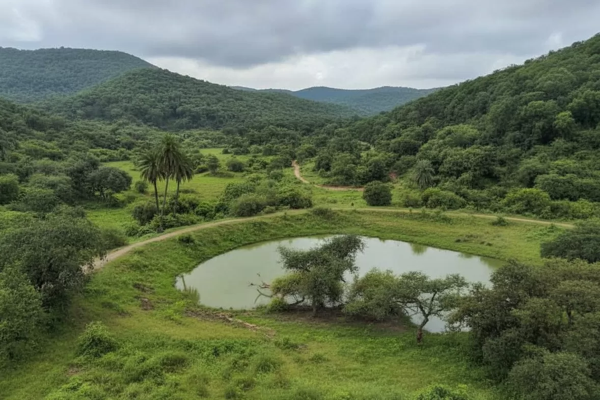 Sariska Tiger Reserve