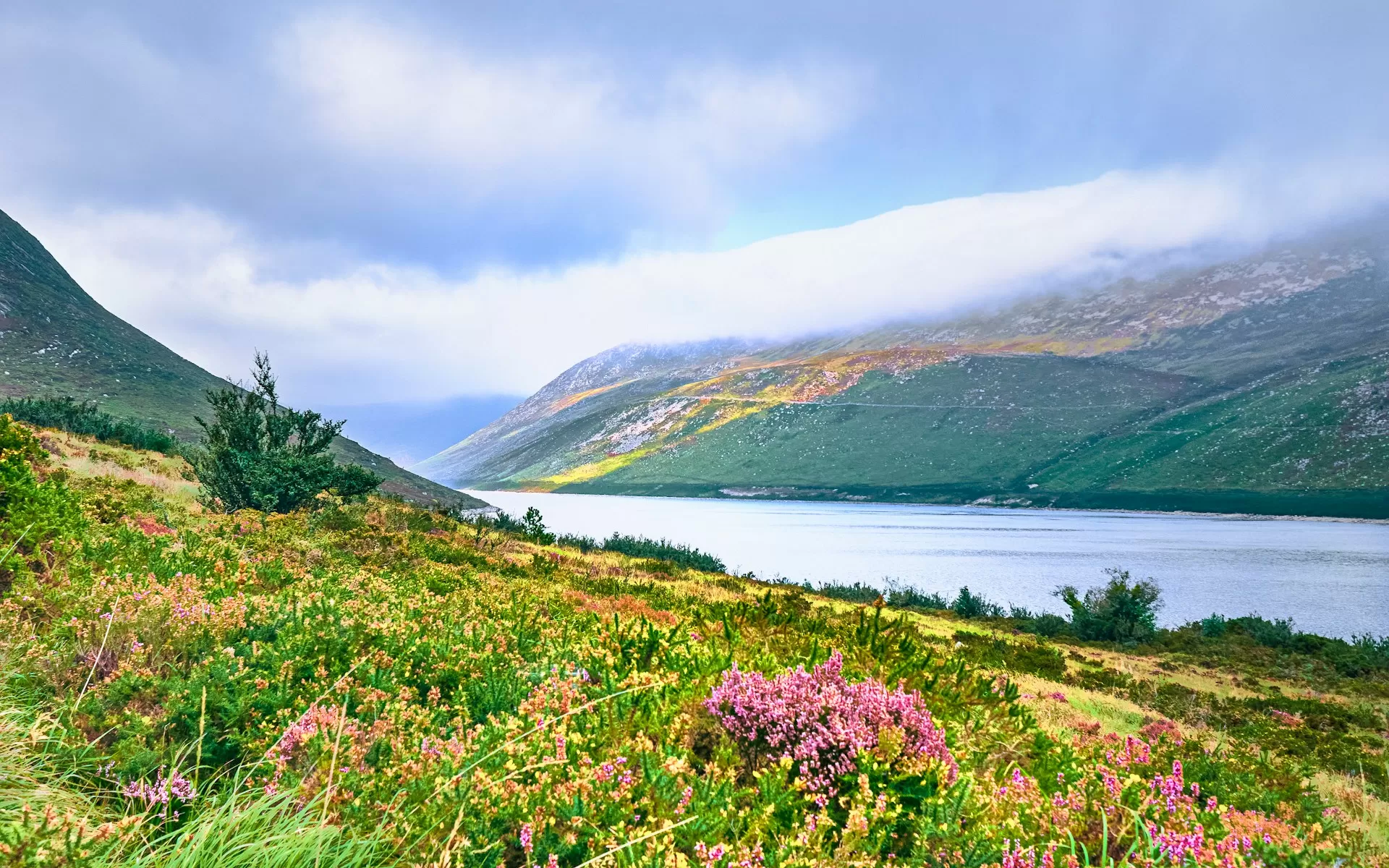 Valley of Flowers National Park