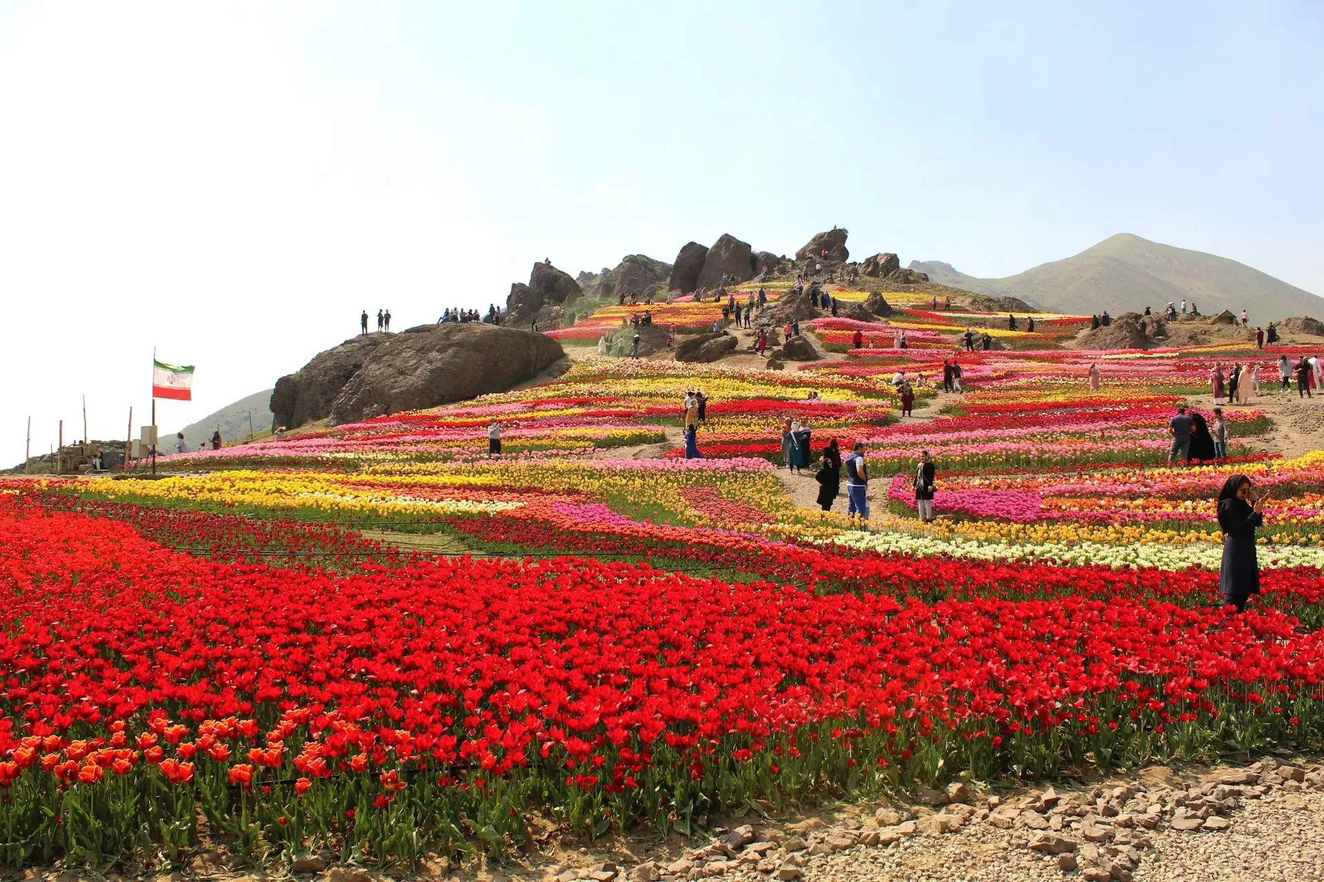 Valley of Flowers National Park