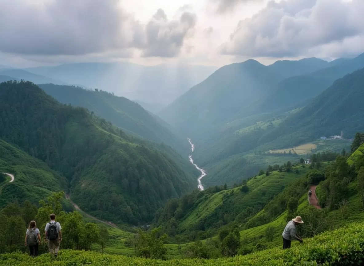 Valparai