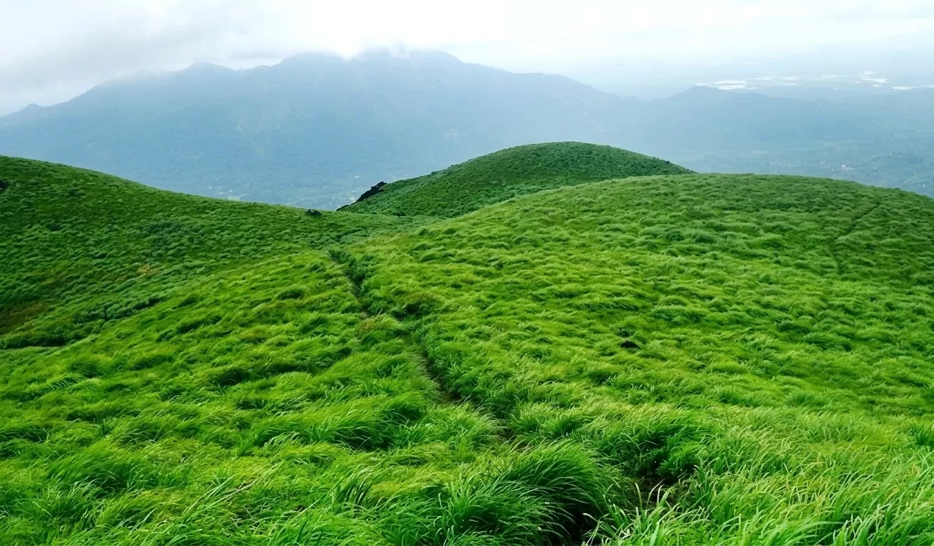 Wayanad Hill station