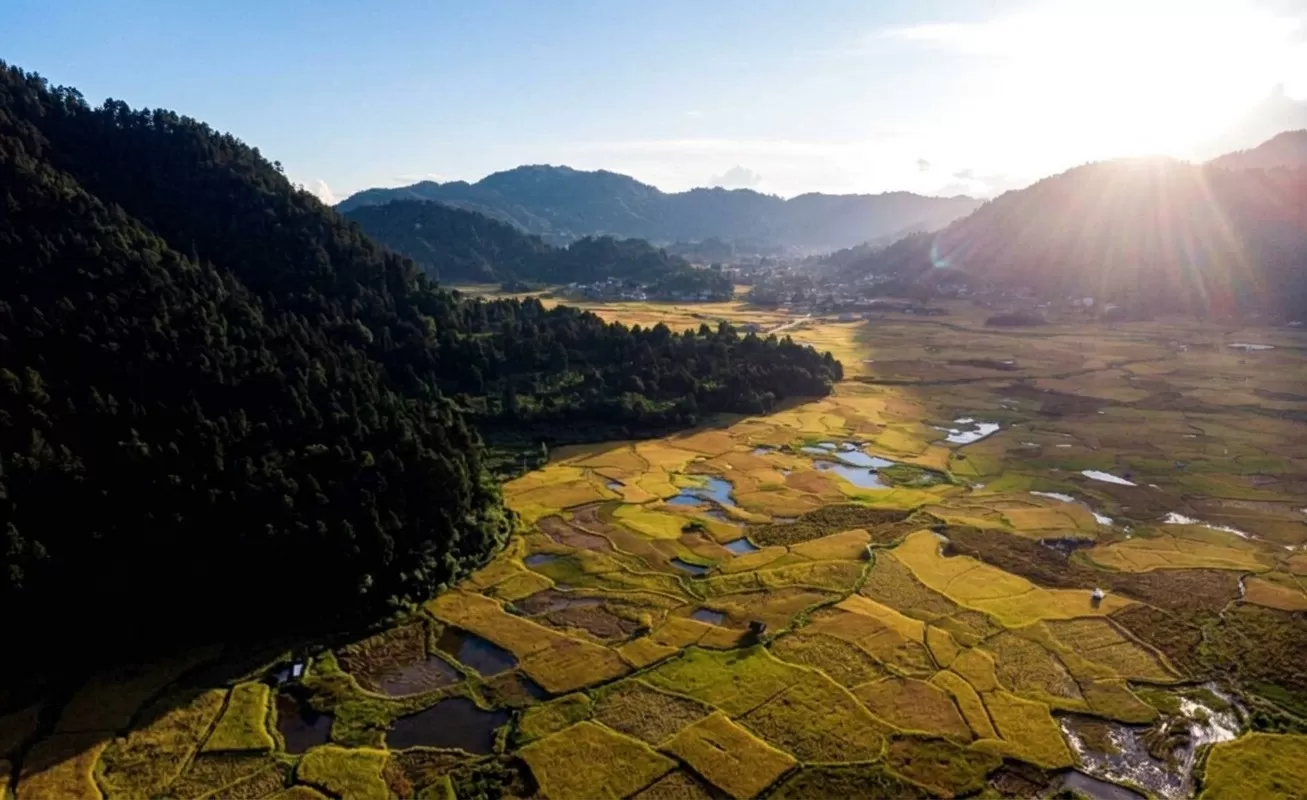 Ziro Valley